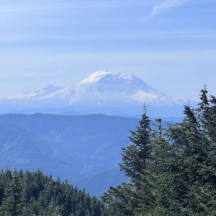 Hiked Mt. Washington