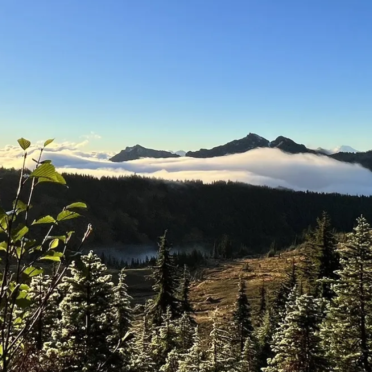 Hiked the Skyline Loop