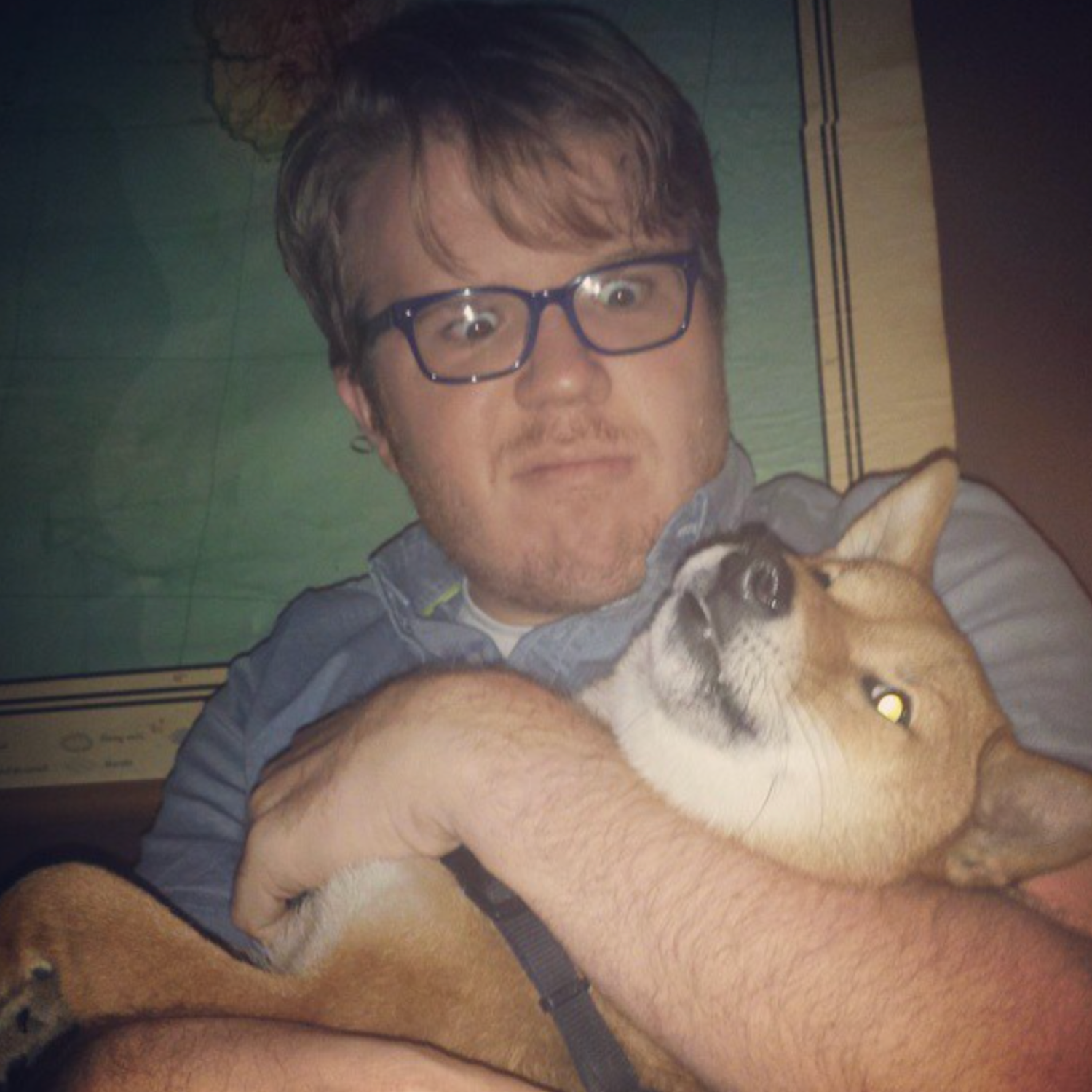 First time petting a shiba inu