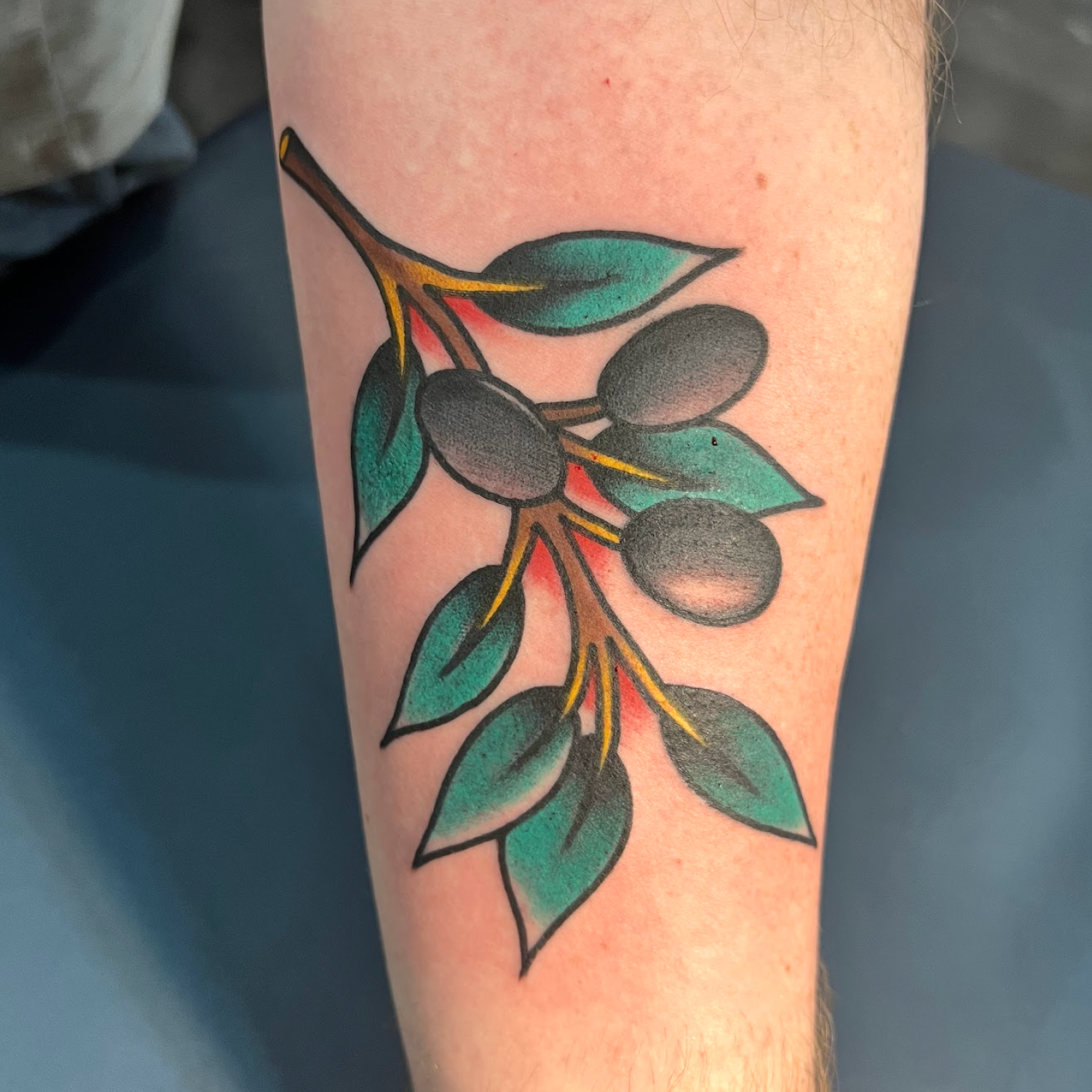 1st Tattoo Olive Branch